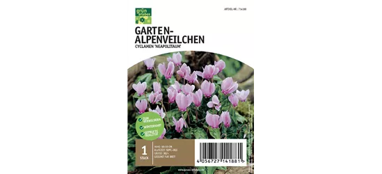 Garten-Alpenveilchen