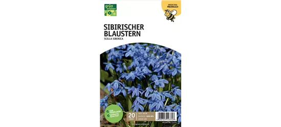 Blausternchen