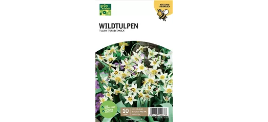 Botan. Wildtulpen