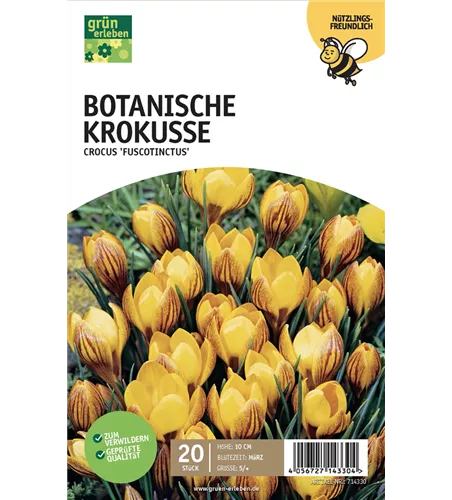 Botanische Krokusse