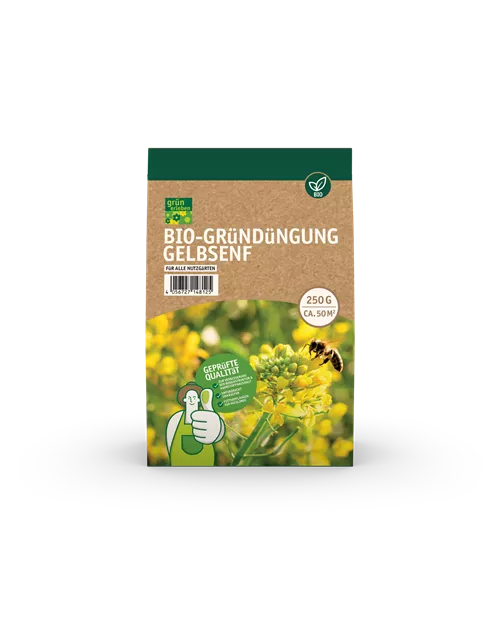 Bio-Gründüngung